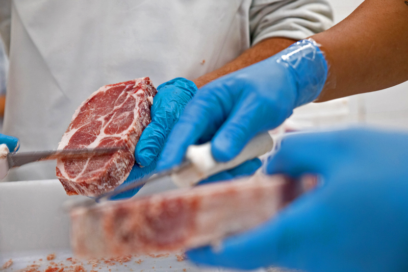 Meat & Seafood Processor