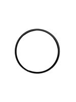 Black circular o-ring on a white background